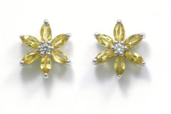 Diamantörhänge 0,05 ct